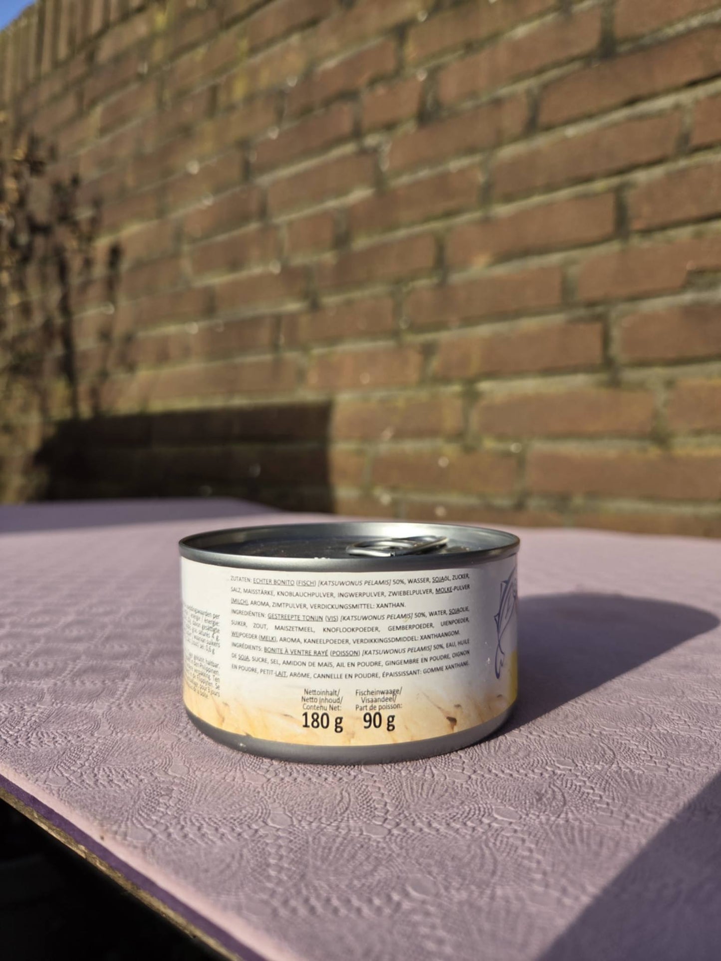 Century Tuna Flakes in Oil